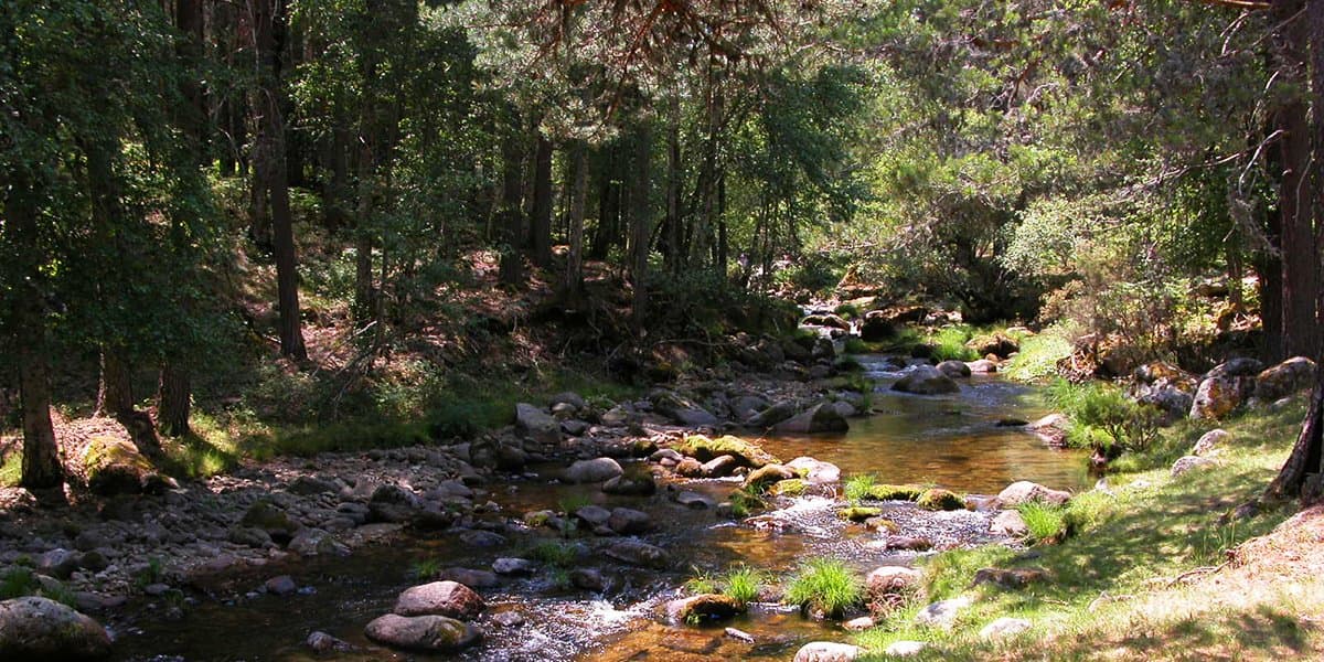 Imagen 1 de la ruta