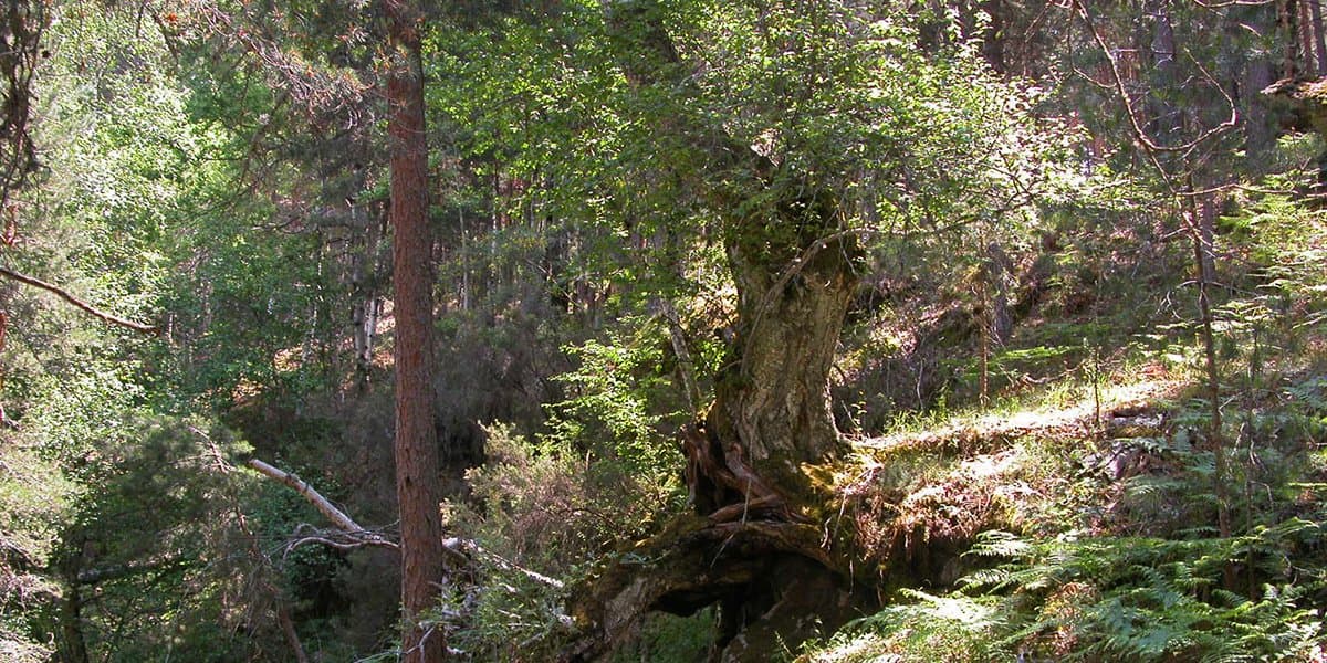 Imagen 1 de la ruta