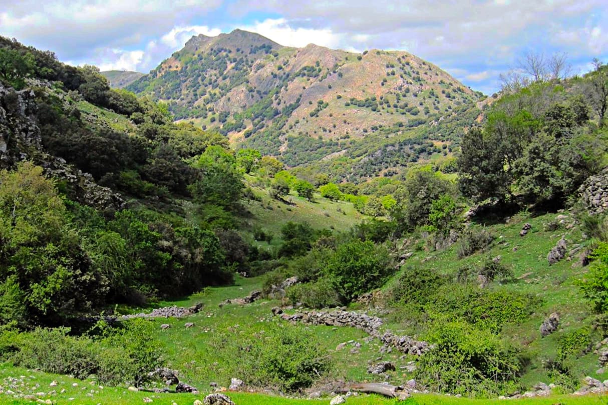 Imagen 1 del viaje